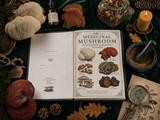 FREE Medicinal Mushroom Cultivation & Harvest Planner | Lion's Mane, Reishi, Shiitake, Turkey Tail, Oyster, Chaga | Grow Logs, Harvest Tracker, Medicinal Recipes | Instant Download