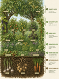 Permaculture Garden Planner - Instant Download