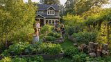 The Backyard Sanctuary | Custom Suburban Food Forest Design