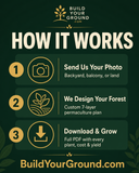 The Indoor Apothecary | Custom Indoor Living Medicine Garden Design - Created Custom Specifically for Your Home