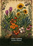 Cancer-Fighting Garden Planner — Grow Your Own Prevention