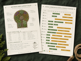 Superfood & Immune-Boosting Permaculture Garden Layouts