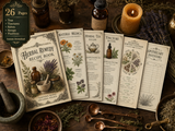 Herbal Remedy Recipe Book | Herbal Teas, Tinctures, Salves, Syrups, Poultices | Materia Medica | Apothecary Inventory | Instant Download
