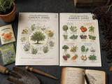 Cancer Prevention Garden Zones: Permaculture Layout System