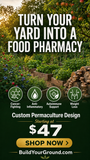 The Indoor Apothecary | Custom Indoor Living Medicine Garden Design - Created Custom Specifically for Your Home